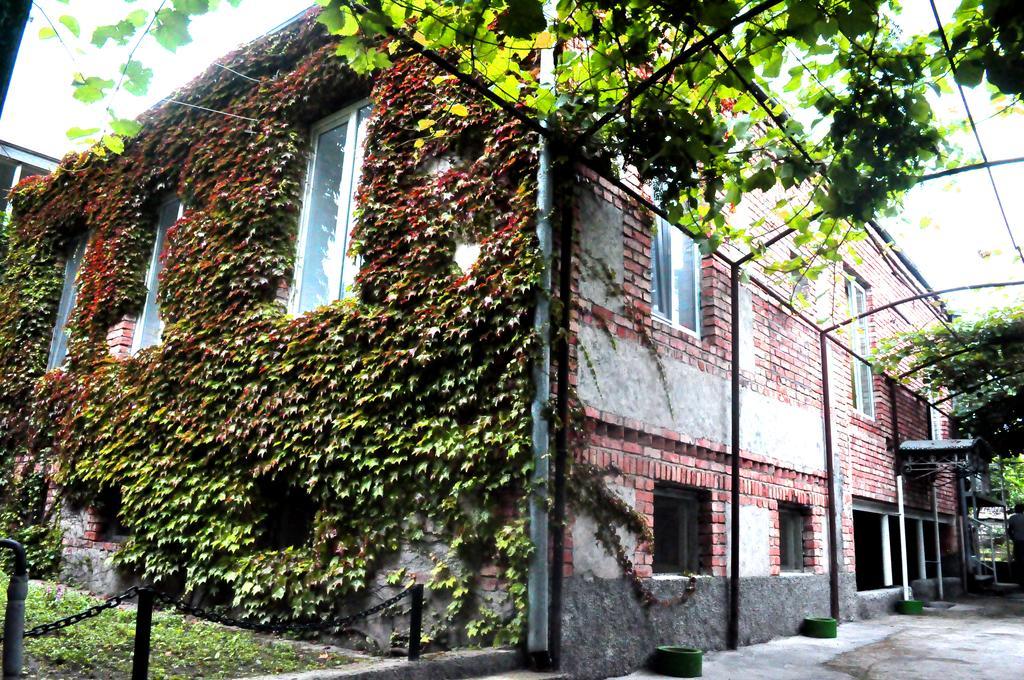 La Deka Guesthouse Lagodekhi Kültér fotó
