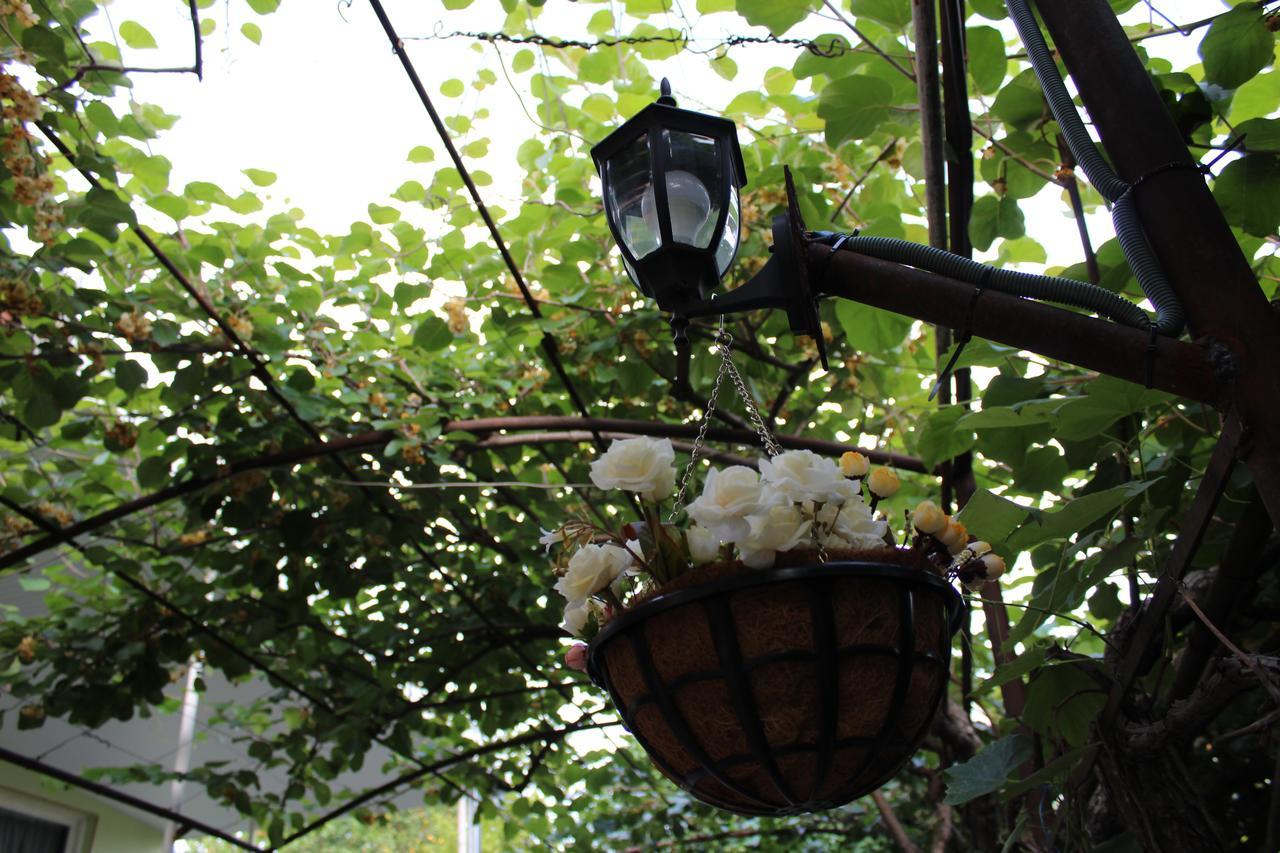 La Deka Guesthouse Lagodekhi Kültér fotó
