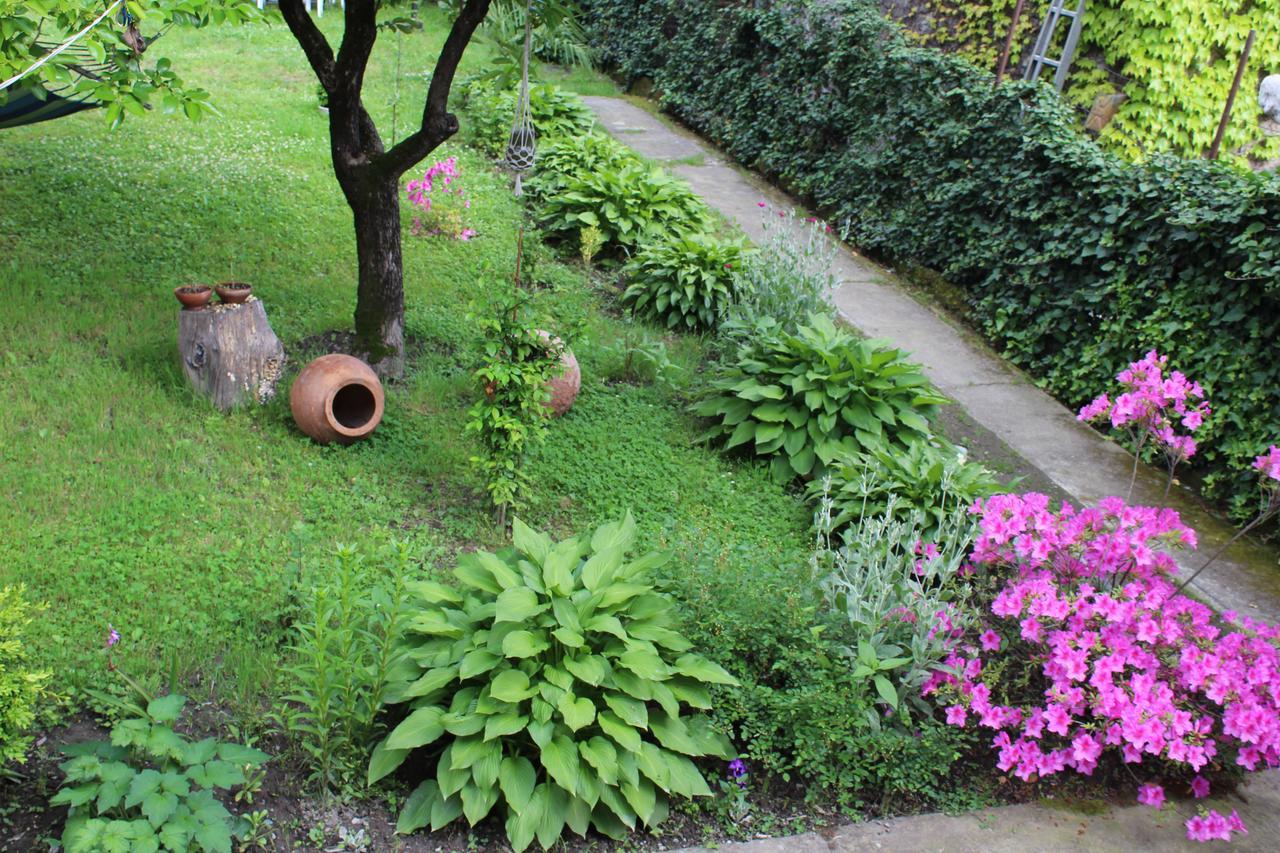 La Deka Guesthouse Lagodekhi Kültér fotó