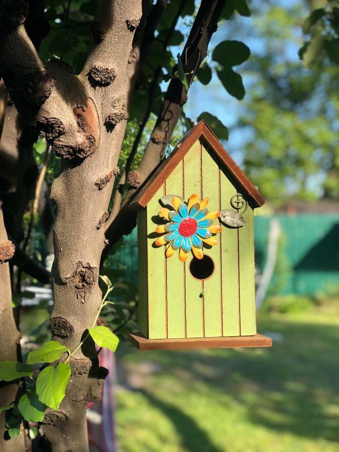 La Deka Guesthouse Lagodekhi Kültér fotó